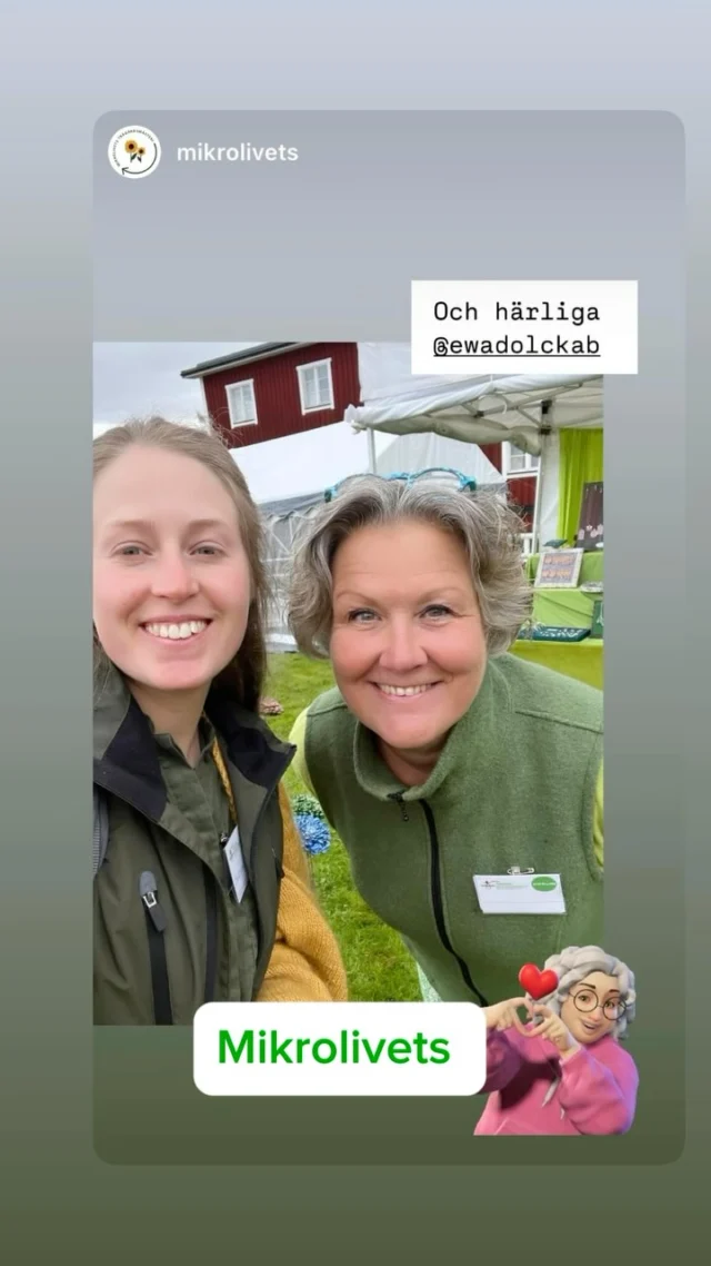 Kväll dag 1 på @tradgardochhantverk Tällberg Dalarna  Tack !!!  Dagen började med regn, vi gjorde sista piffet och startade så kl 13 då vädret sprack upp.  En härlig sak med denna mässan är den goa hjärtliga stämningen och glada skratten från /mellan utställare! 
Vill speciellt nämna detta gäng som var med att göra  denna fredag till en riktigt fin dag !  @mikrolivets 
Inspiratör som vannpris för årets uteplats på nordiska trädgårdar 
@bymarsab 
Karins fina varma kläder 
@ljuvadrommar 
Finaste keramiken för trädgård och inredning 
@marialindbergdesign 
Linnekläder i härliga färger 
@frokeniknopp 
Föreläsare med kunskap på riktigt om odling och fröer 
@aterbrukshyttan 
Anny ger gamla flaskor nytt liv via glasugnen 
@pinnplockerskan 
Bettina slöjdar i trä o tagel
@frickum_art 
Karin målar fantastiska motiv som sedan blir brickor, kuddar, handdukar mm
@hardworkingwomanab 
Välgjorda möbler, spaljéer mm i finaste färgerna 
@fialottasparadis 
Inspirerar, föreläser och erbjuder fina plantor som tex tomat, rotselleri !  Själv har jag med ett brett utbud av mitt hantverk i betong skapat i egen verkstad. Allt från trädgårdsdekorationer till smycken, alltid helt eller delvis i betong  Lördag 10 maj öppet 10-17
Söndag 11 maj öppet 10-16  Platsen är @villalangbers  i Tällberg Dalarna  Arrangör @tradgardochhantverk  Välkommen !!!  konsthantverkare #trädgårdsdekorationer #Hantverk #svenskthantverk #tällberg #borås  #Dalarna #villalångberställberg #trädgårdsmässan