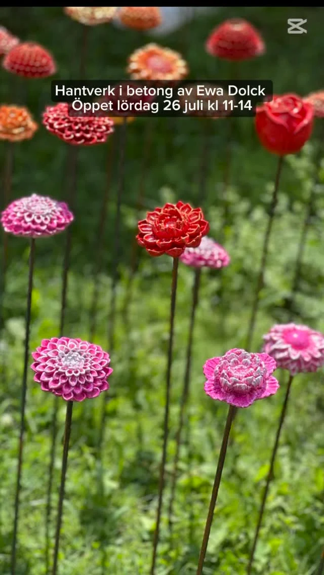 Efter Hjo var det i stort sett slut på grodor och orange, röda och rosa blommor..,.  Efter idogt arbete är nu detta åtgärdat och butiken är redo och påfylld inför lördag 26 juli kl 11-14  Från trädgårdsdekorationer till smycken, alltid helt eller delvis i betong i Håstorp Längjum Fristad utanför Borås  Observera att Butiken är enkel med nivåskillnader ute och inne. Jag har inte kundtoaletter eller café, bara mitt eget skapade hantverk helt eller delvis i betong.  Parkering på anvisad plats med skylt  Betalning med Swish, kort eller kontant 
Självklart kvitto med moms !  Vill du komma annan dag och tid skickar du bara förslag på tid så löser vi det säkert. Jag är nästan alltid hemma, men har även kor o hundar mm men med en timme eller två framförhållning brukar det mesta gå att lösa !  Varmt välkommen !  🌼🌼🌼🌼🌼🌼🌼🌼🌼🌼🌼  #konsthantverkare #trädgårdsdekorationer #Hantverk #svenskthantverk #borås #sjuhäradsbygden  #trädgårdsmässan #floby #Västergötland #bollebygd #ulricehamn #bredared #butikbrygghuset #sparsör #herrljunga #borgstena #fristad #trädgårdsinspiration