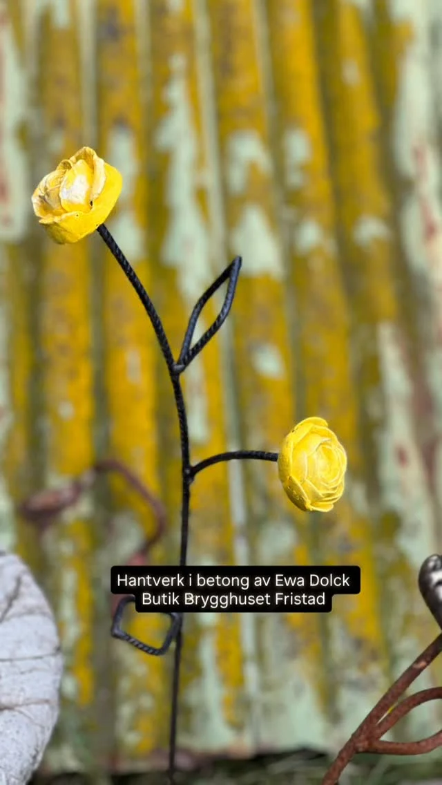 Hantverk i betong av Ewa Dolck, butik Brygghuset, Fristad öppet lördag 2 aug kl 11-14  Från trädgårdsdekorationer till smycken, alltid helt eller delvis i betong i Håstorp Längjum Fristad utanför Borås  Observera att Butiken är enkel med nivåskillnader ute och inne. Jag har inte kundtoaletter eller café, bara mitt eget skapade hantverk helt eller delvis i betong.  Parkering på anvisad plats med skylt  Betalning med Swish, kort eller kontant 
Självklart kvitto med moms !  Vill du komma annan dag och tid skickar du bara förslag på tid så löser vi det säkert. Jag är nästan alltid hemma, men har även kor o hundar mm men med en timme eller två framförhållning brukar det mesta gå att lösa !  Varmt välkommen !  🌼🌼🌼🌼🌼🌼🌼🌼🌼🌼🌼  #konsthantverkare #trädgårdsdekorationer #Hantverk #svenskthantverk #borås #sjuhäradsbygden  #trädgårdsmässan #floby #Västergötland #bollebygd #ulricehamn #bredared #butikbrygghuset #sparsör #herrljunga #borgstena #fristad #trädgårdsinspiration