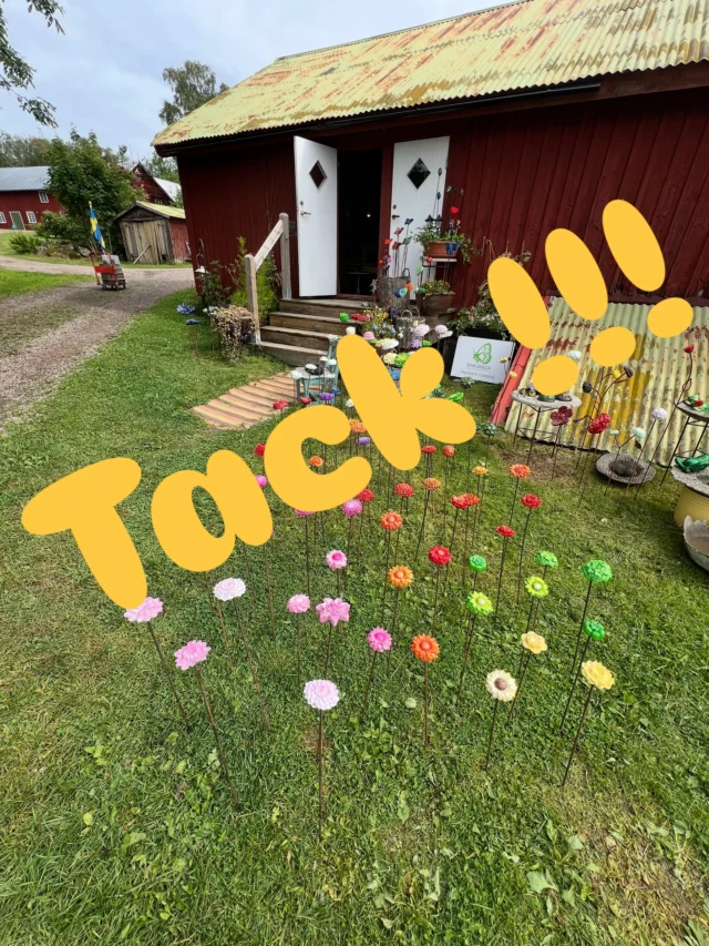 Vilken makalös dag !!!  Det kom besökare direkt kl 11 och var inte tomt en endaste gång därefter , och när jag skulle stänga vid 14 kom ytterligare 2 härliga tjejer så dörren stängdes först kl 15.  Vilka roliga möten, intressanta samtal, djupa frågor och glada skratt!  Augusti började med rekord och jag vill tacka er för förtroendet att ni besökte mig och dessutom handlade !  Framöver är det öppet alla lördagar kl 11-14 till och med 20 september.  Som vanligt går det även bra att komma andra dagar om man skickat sms och avtalat ca tid  Återigen tack och varmt välkomna åter!  PS, blir väldans glad om ni skickar bilder på hur det blev när ni ställde ut blommor, hönor, fjärilar mm i era trädgårdar 🌺🌺🌺