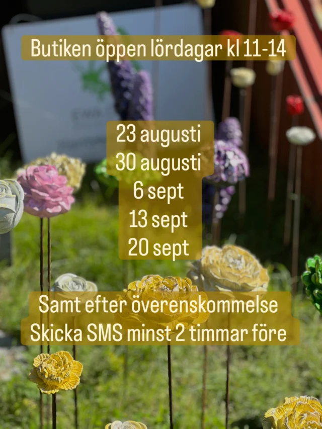 Hantverk i betong av Ewa Dolck, butik Brygghuset, Fristad utanför Borås öppet lördagar kl 11-14 till och med 20 sept  Från trädgårdsdekorationer till smycken, alltid helt eller delvis i betong i Håstorp Längjum Fristad utanför Borås  Observera att Butiken är enkel med nivåskillnader ute och inne. Jag har inte kundtoaletter eller café, bara mitt eget skapade hantverk helt eller delvis i betong.  Parkering på anvisad plats med skylt  Betalning med Swish, kort eller kontant 
Självklart kvitto med moms !  Vill du komma annan dag och tid skickar du bara förslag på tid så löser vi det säkert. Jag är nästan alltid hemma, men har även kor o hundar mm men med en timme eller två framförhållning brukar det mesta gå att lösa !  Varmt välkommen !  öppet alla lördagar kl 11-14 framöver till och med 20 september  🌼🌼🌼🌼🌼🌼🌼🌼🌼🌼🌼