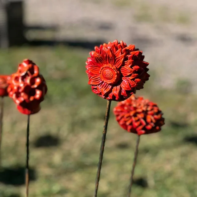 Det blev eldigt rött med inslag av lite mörk orange på förmiddagens blommor !  Känner att denna färgstarka nyans piffade till dagen som både innehöll härligt kundbesök, umgänge med äldste bonusen som besökte, stor-röj i verkstan inför all målning och planering av veckans arbete … och vips var söndagen förbi ..  Fortsätter färgstarkt imorgon och tror minsann det måste bli småfåglar en dag snart också !  #Västergötland #svenskthantverk #konsthantverkare #Hantverk #sjuhärad #ölandsskördefest #ewadolckpåturné #Slottsmässor #sjuhäradsbygden #ewadolckfråntanketillform #ewadolckab #ewadolck #borås #svenskaslottsmässor #butikbrygghuset #trädgårdsdekorationer